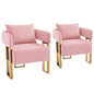 Modern Classic Design Decorative Chair Teddy Fleece Upholstered And Metal Foot