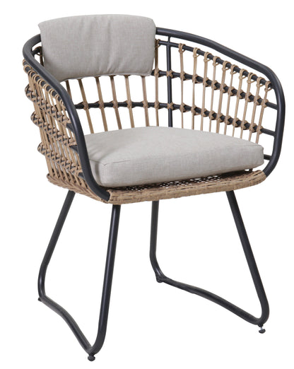 Outdoor Wicker Dining Chairs Set of 2 with Cushions