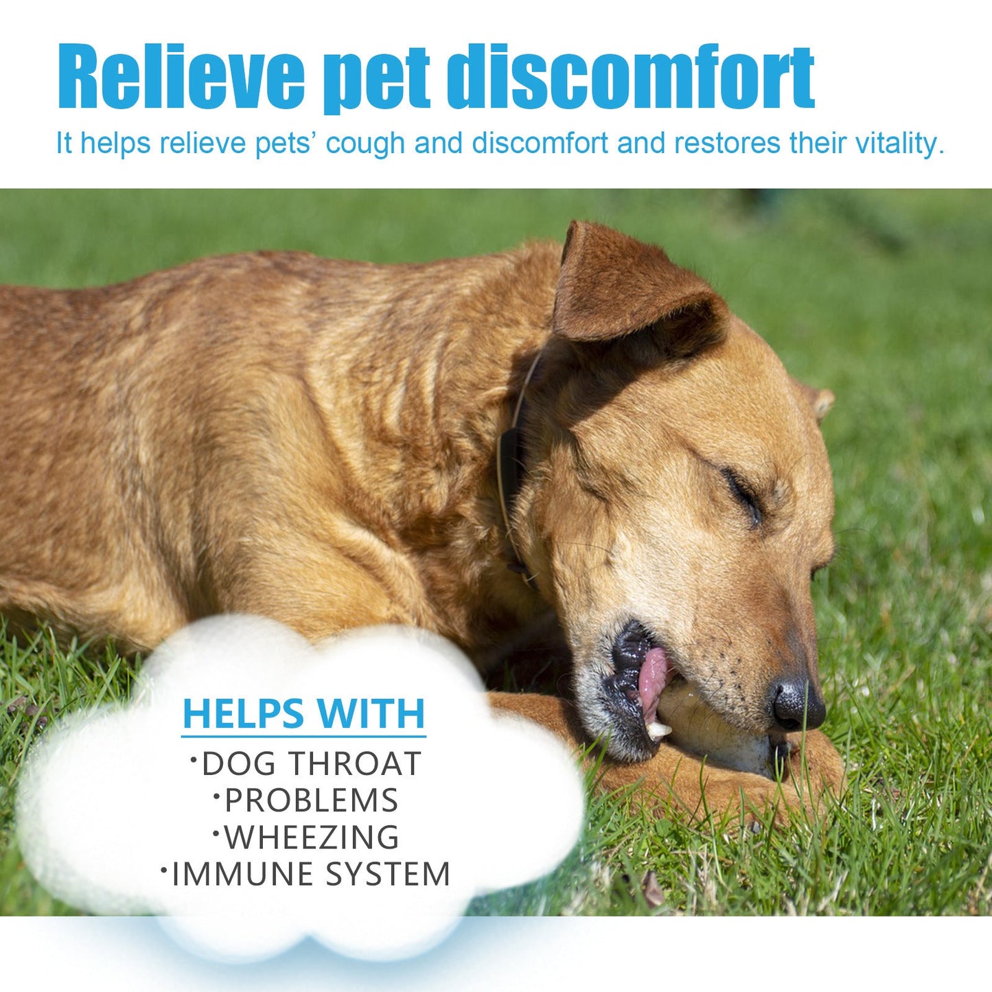 Yegbong Pet Cough Herbal Drops Pet Body Discomfort Care For Pet Cough And Runny Nose