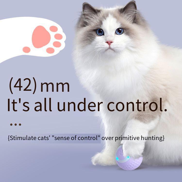 Pet Gravity Smart Rolling Ball Cat Toy For Boredom Relief