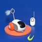 Pet Gravity Running Car Remote Control Toy