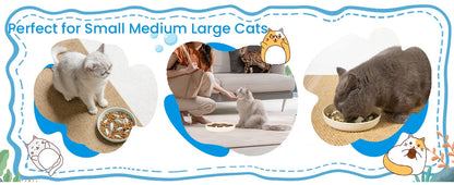 Cat Slow Feeding Bowl Anti-swallowing Healthy Diet Pet Food Bowl Non-slip Whale-shaped Raised Edge Anti-spill-over