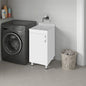 Darwin Freestanding Utility Tub and Sink Cabinet with One Door