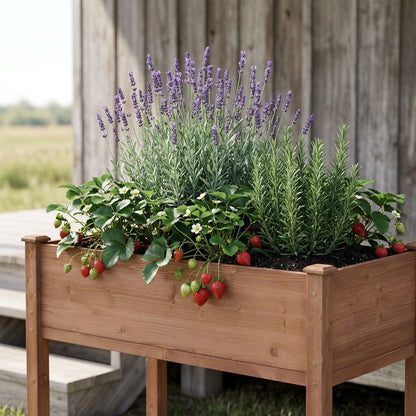 Elevated Raised Garden Bed For Outdoor