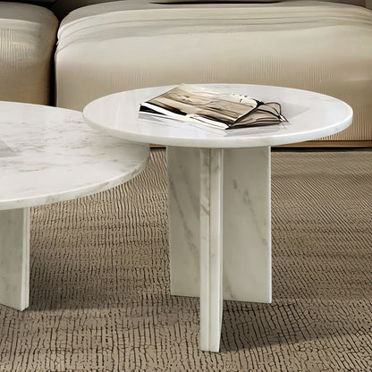 Elegant Coffee Duo Table Set