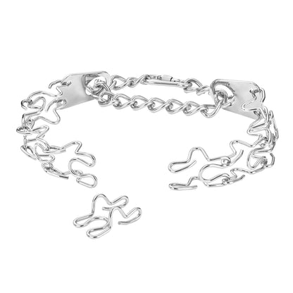 Stainless Steel Detachable Buckle Anti-Pull Dog Leash Collar