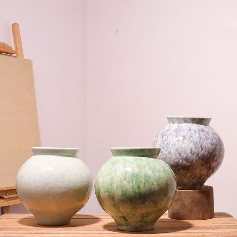 nEW BEAUTIFUL Ceramic Vase  WITH Hydroponic Flower Pot Decor