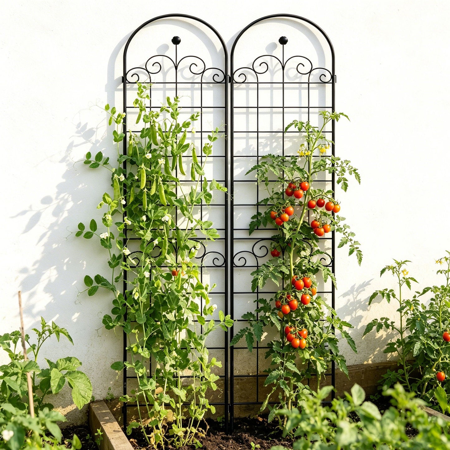 Metal Garden Trellis For Climbing Plants Outdoor Rustproof Plant Support Rose Trellis Netting Trellis
