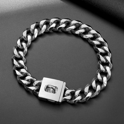 Stainless Steel Gold And Silver Buckle Pet Dog Necklace Collar