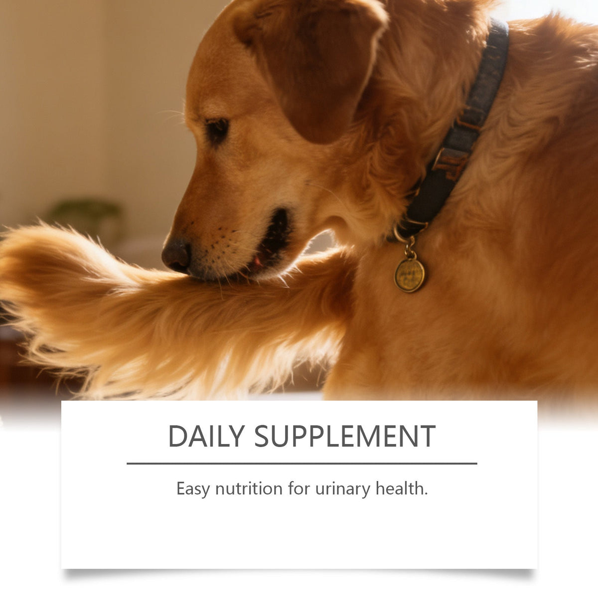 Kriath Dog And Cat Nutritional Supplements Mild Formula To Supplement Daily Nutritional Needs, The Preferred Choice For Pets