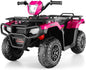 Electric 4-Wheeler Quad Car for Kids with MP3 & USB - 12V Battery Powered
