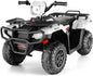 Electric 4-Wheeler ATV Quad for Kids with LED Lights, USB and MP3 Compatibility - Ideal for Boys and Girls