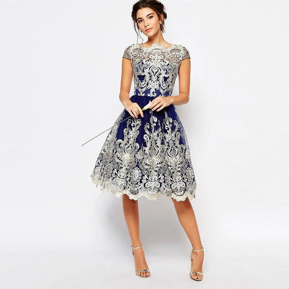 Elegant Lace Retro Mesh Dress