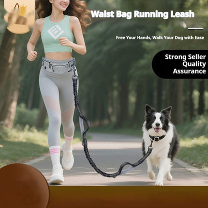Reflective Multifunctional Retractable Pet Leash