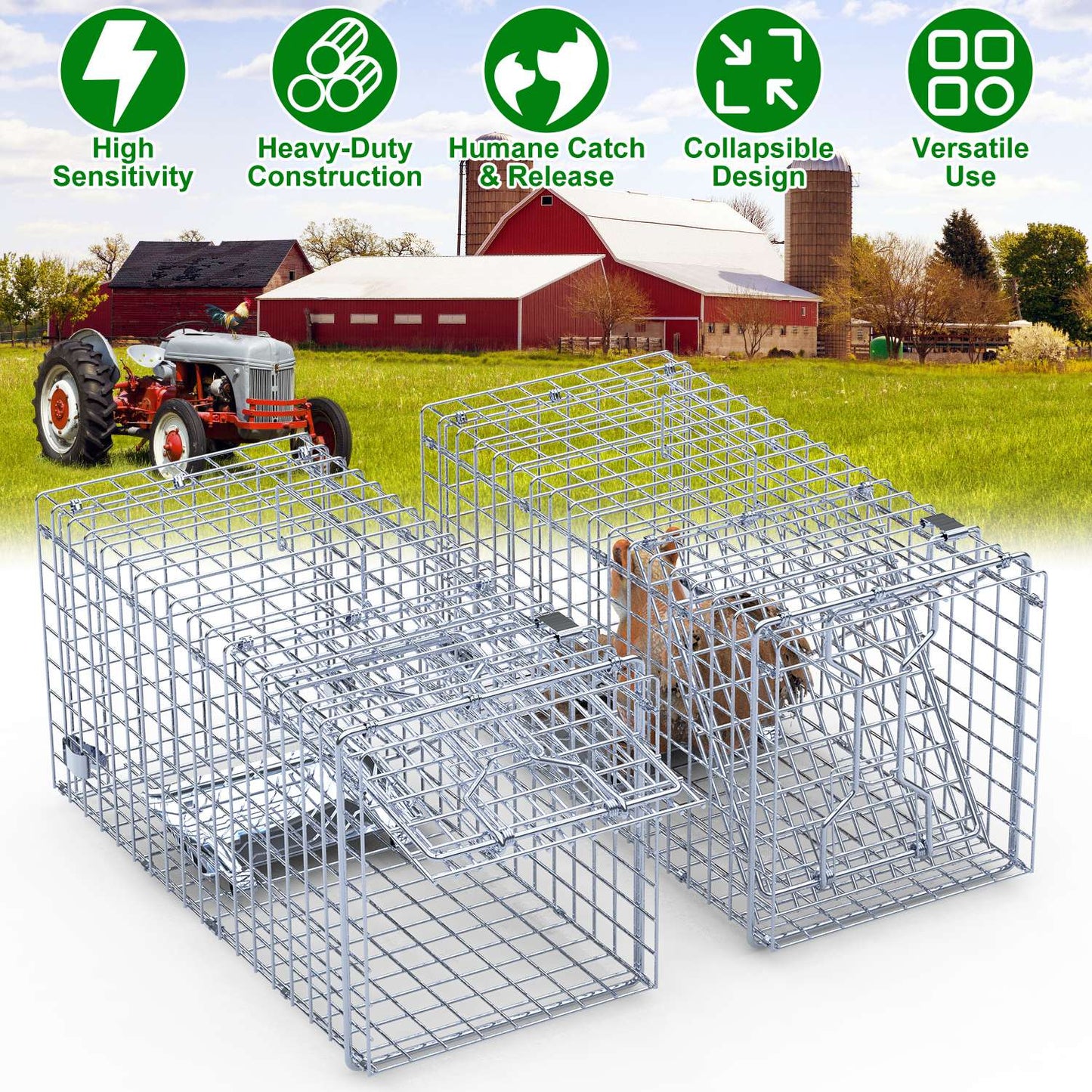 2Pcs 18x8x10In Humane Single Door Live Animal Trap Collapsible Galvanized Iron Animal Cage Catch And Release for Small Squirrel Raccoon Feral Cat Weas