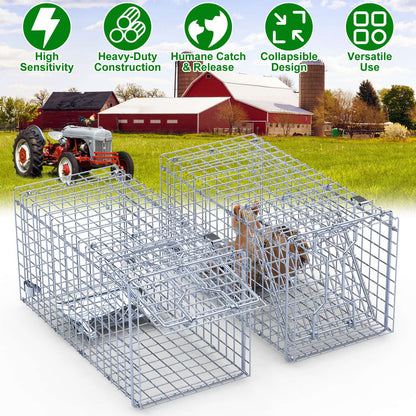 2Pcs 18x8x10In Humane Single Door Live Animal Trap Collapsible Galvanized Iron Animal Cage Catch And Release for Small Squirrel Raccoon Feral Cat Weas