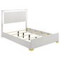 Marceline Wood Full LED Panel Bed White