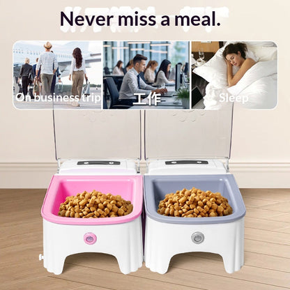 Cat Automatic Feeding Device