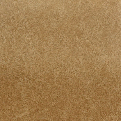 Pippin - Accent Chair - Morocco Top Grain Leather