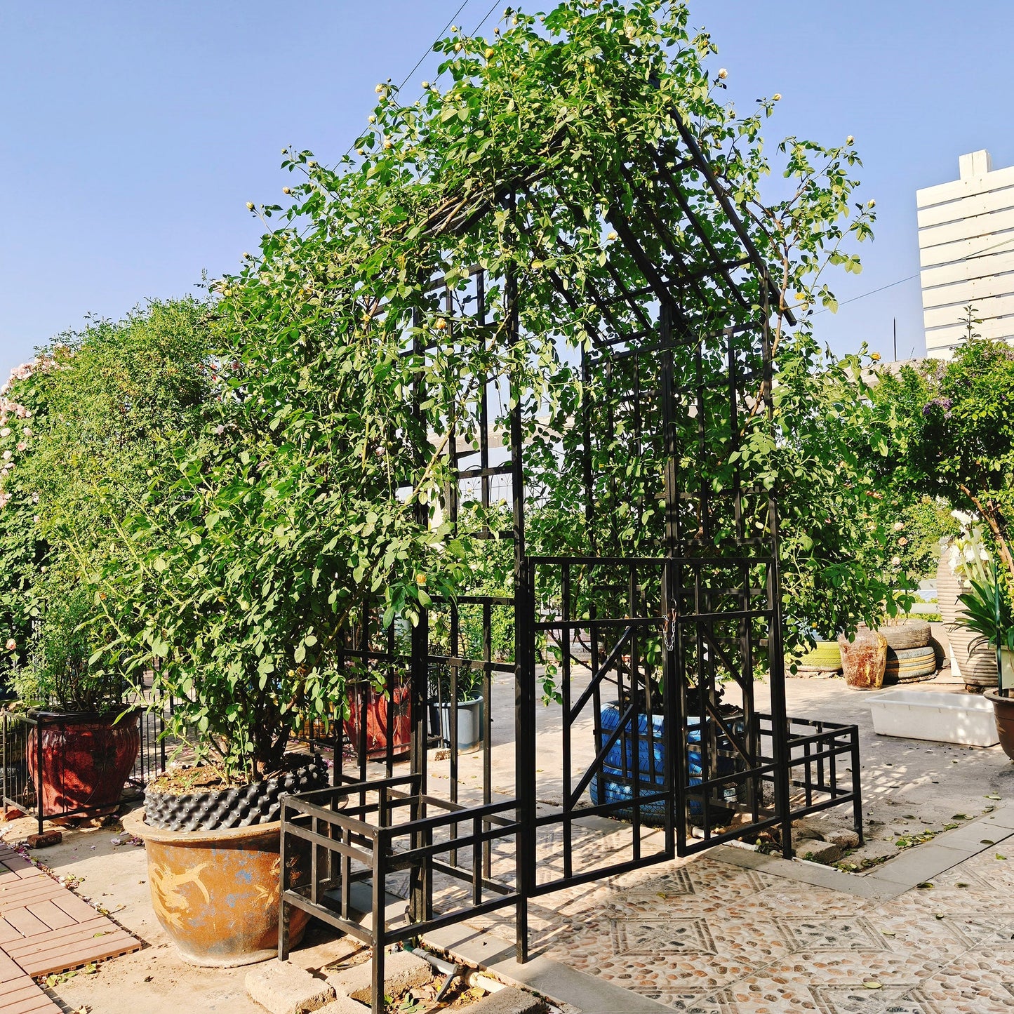 Metal Garden Arch with Gate and Planter for Climbing Plants