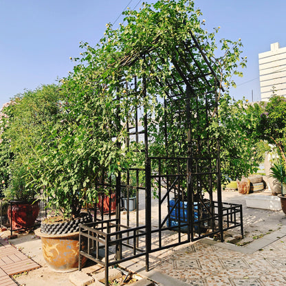 Metal Garden Arch with Gate and Planter for Climbing Plants