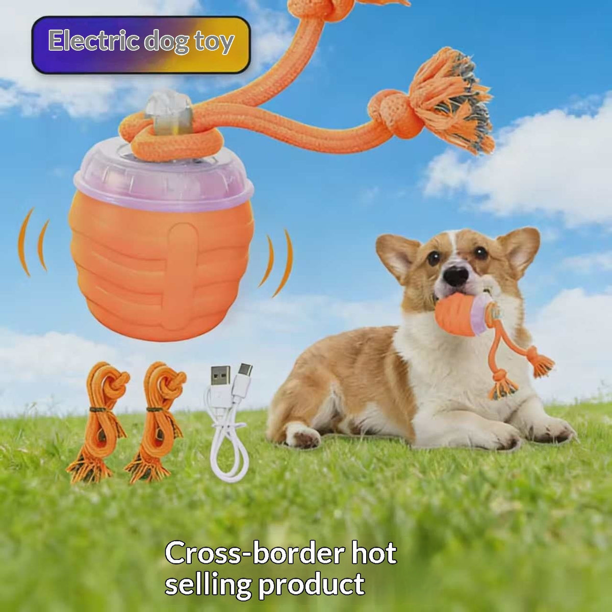 Electrically Attracted Bite-Resistant Pet Traction Ball