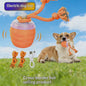 Electrically Attracted Bite-Resistant Pet Traction Ball