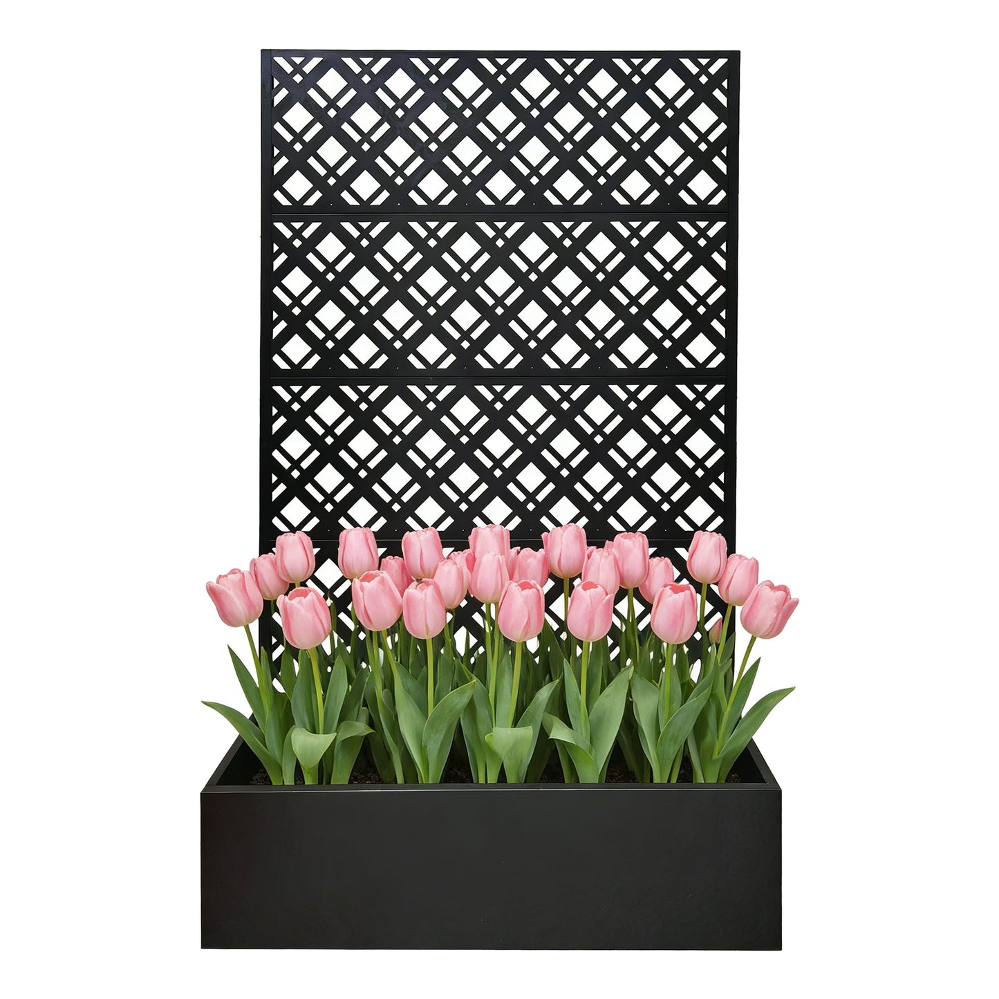Rhombus Black Metal Planter Raised Garden Bed with Trellis