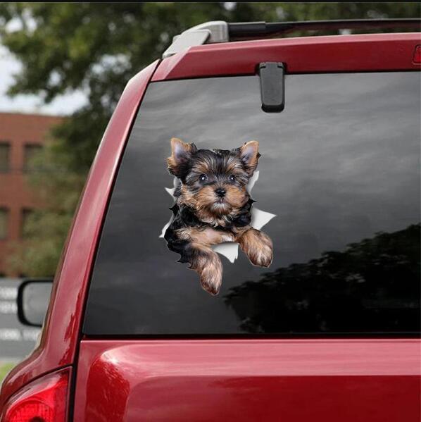 Car Pendant Sleeping Dog Angel Home Decor Acrylic Showcase Hanging Ornaments For Doors