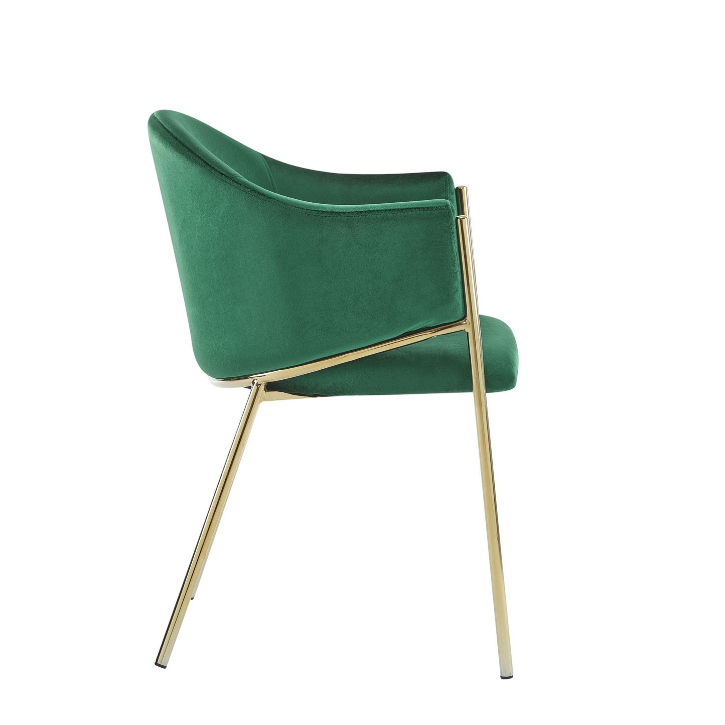 Modern Upholstered Dining Chair with Gold Metal Frame