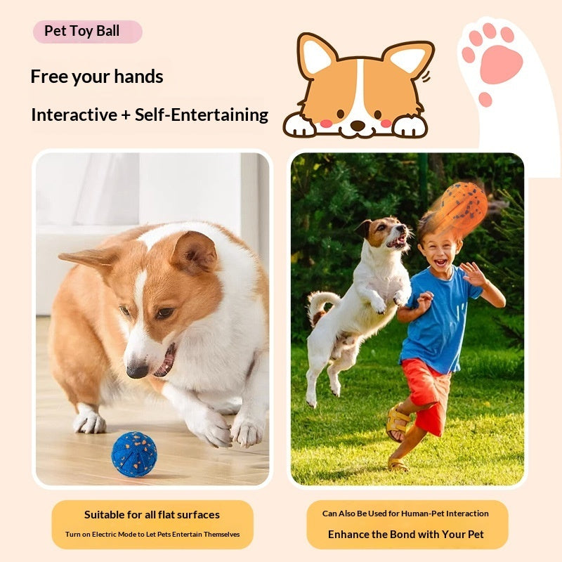 Pet Smart Rolling Ball Dog Toy