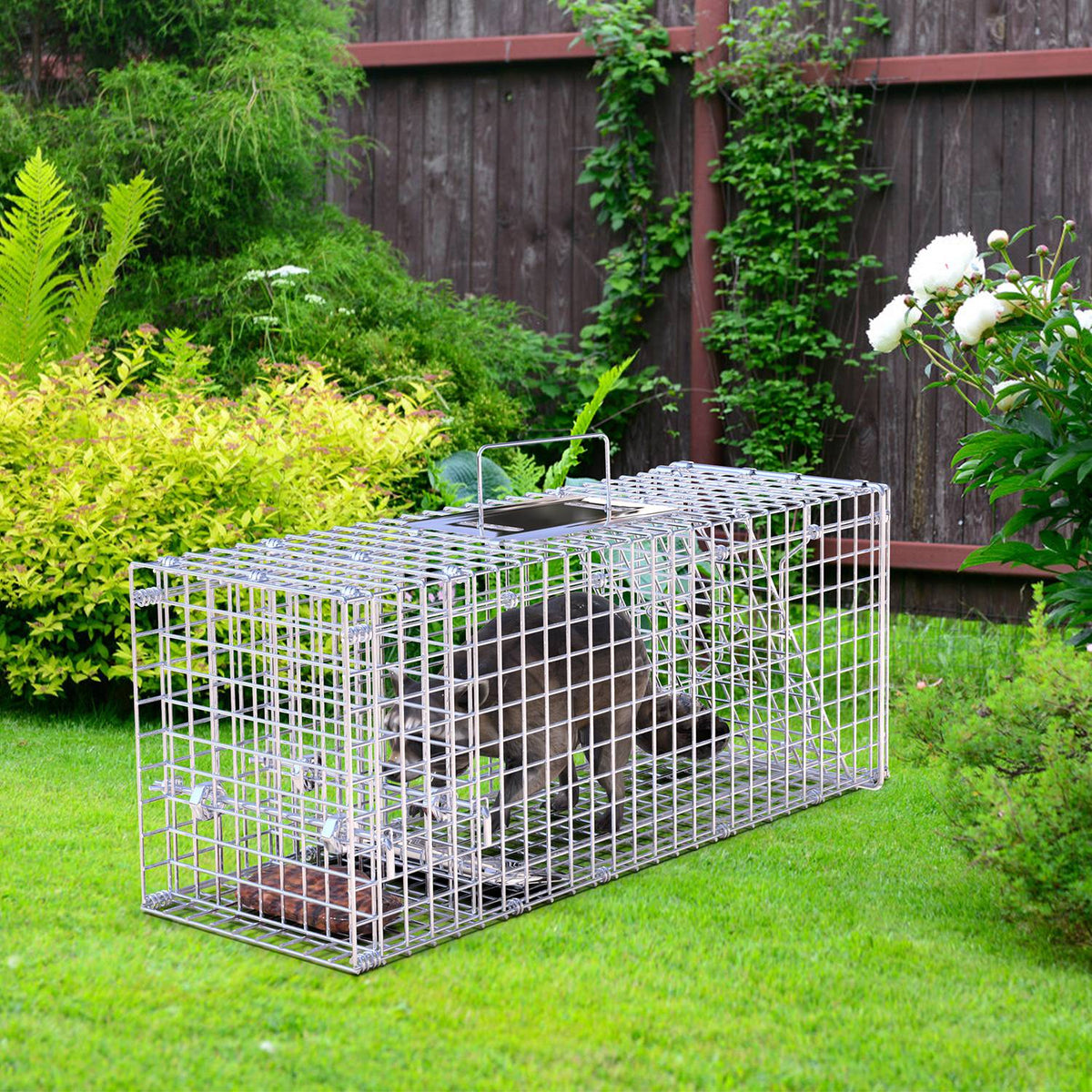 1Pc 25.59Inch Live Humane Animal Trap For Spring Summer Cage Heavy Duty Folding Catch And Release Rodent Cage For Rabbit Squirrel Possum Skunk Kitten Raccoon And More