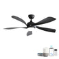 Ceiling Fan with DC Motor and Integrated Light