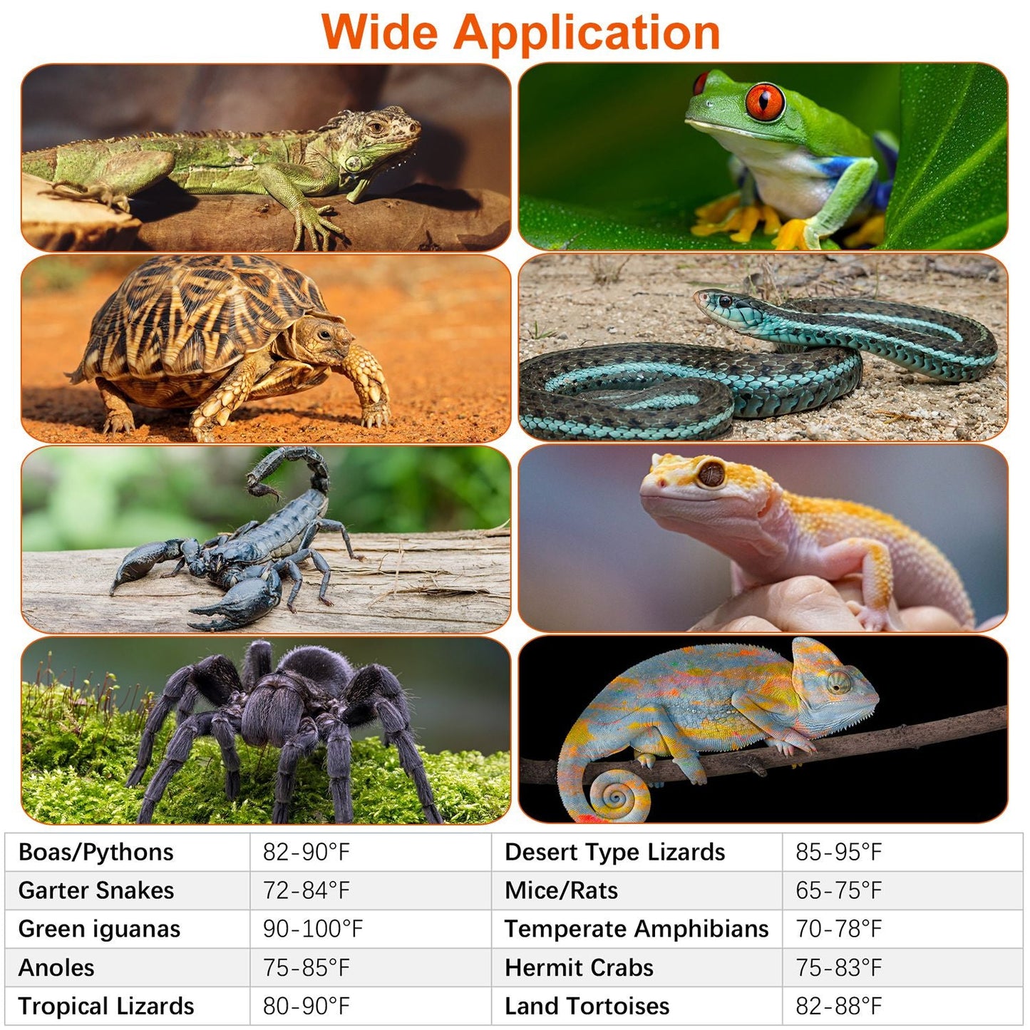 Electric Reptile Heating Pad With 32-122¡F Temperature Adjustment IPX7 Waterproof Timer Setting Under Tank Heating Mat for Lizards Turtles Snake Spide