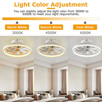 19.7in Ceiling Fan with 60W Light RoundÊPendant Fan Lamp LED Ceiling Fan with 6-Fan Speed 3000-6500W Light Color Adjustment Remote Control Timer APP C