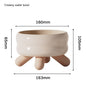 Food Water Pet Ceramic Color Feeding Dogs And Cats Supplies Bowl
