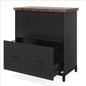 2 Drawer Lateral File Cabinet, A4 / Letter Size, Heavy Duty Storage For Home Office - Brown / Black
