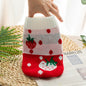 Autumn And Winter Cat And Dog Clothing Bichon Frise And Corgi Knitted Sweaters