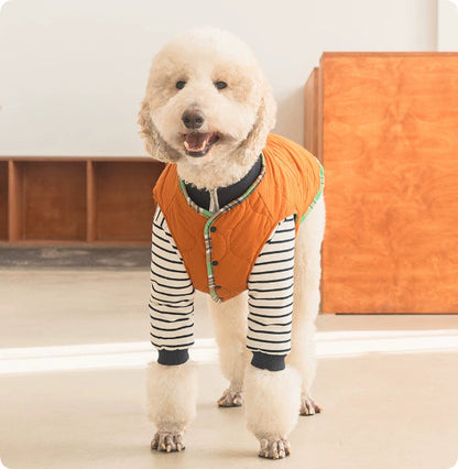 Thermal Protection Labrador Golden Retriever Samoyed Premium Pet Clothing