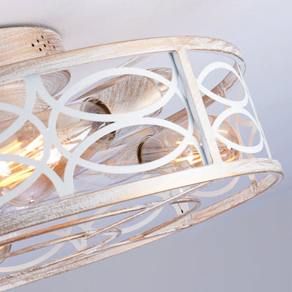 20" Caged Ceiling Fan with Lights and Remote Control