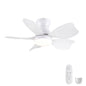 Low Profile Flush Mount Ceiling Fan With Light