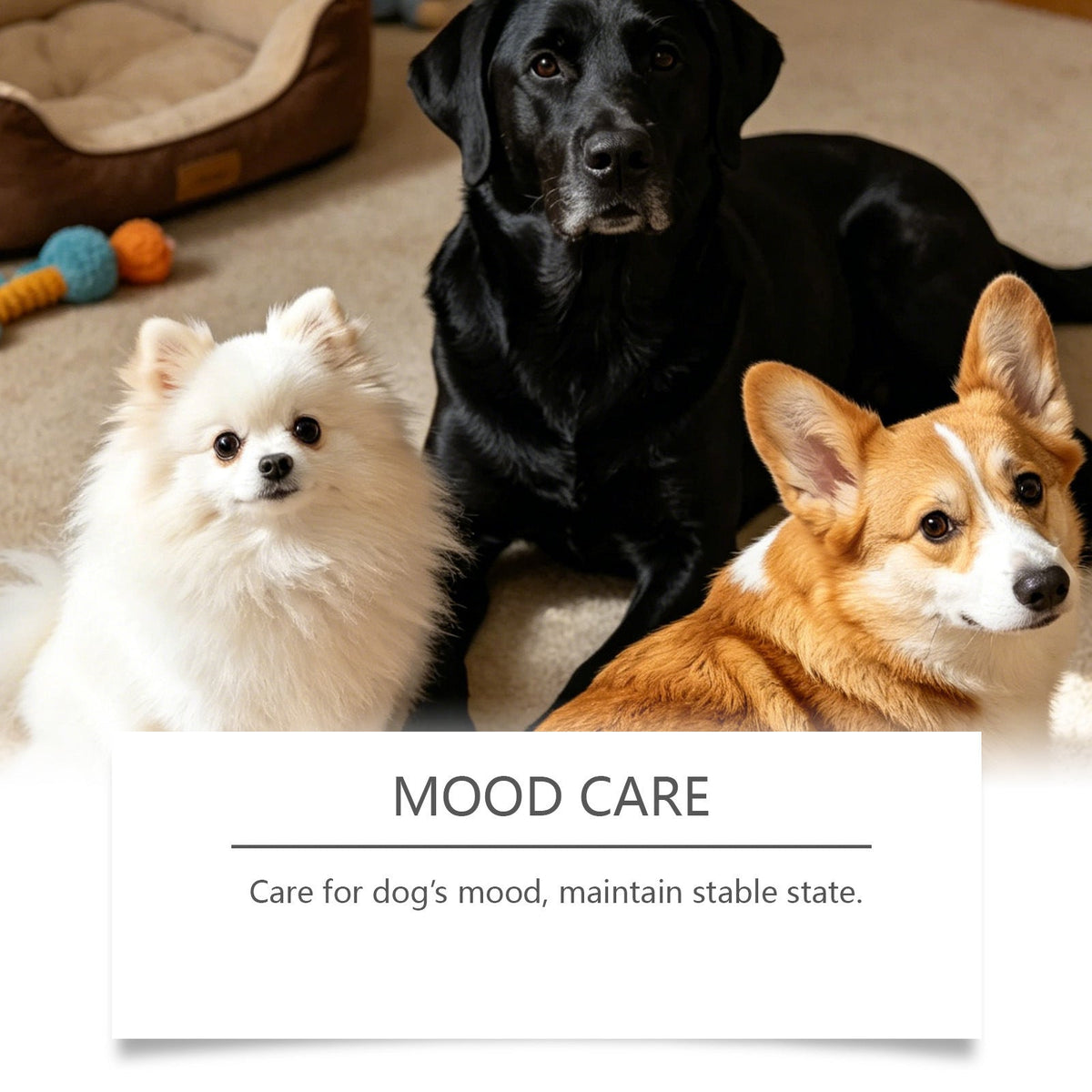 Dog Care Chewable Tablets Daily Care Dog Body Nutrition Balance Immune Quiet Care Tablets