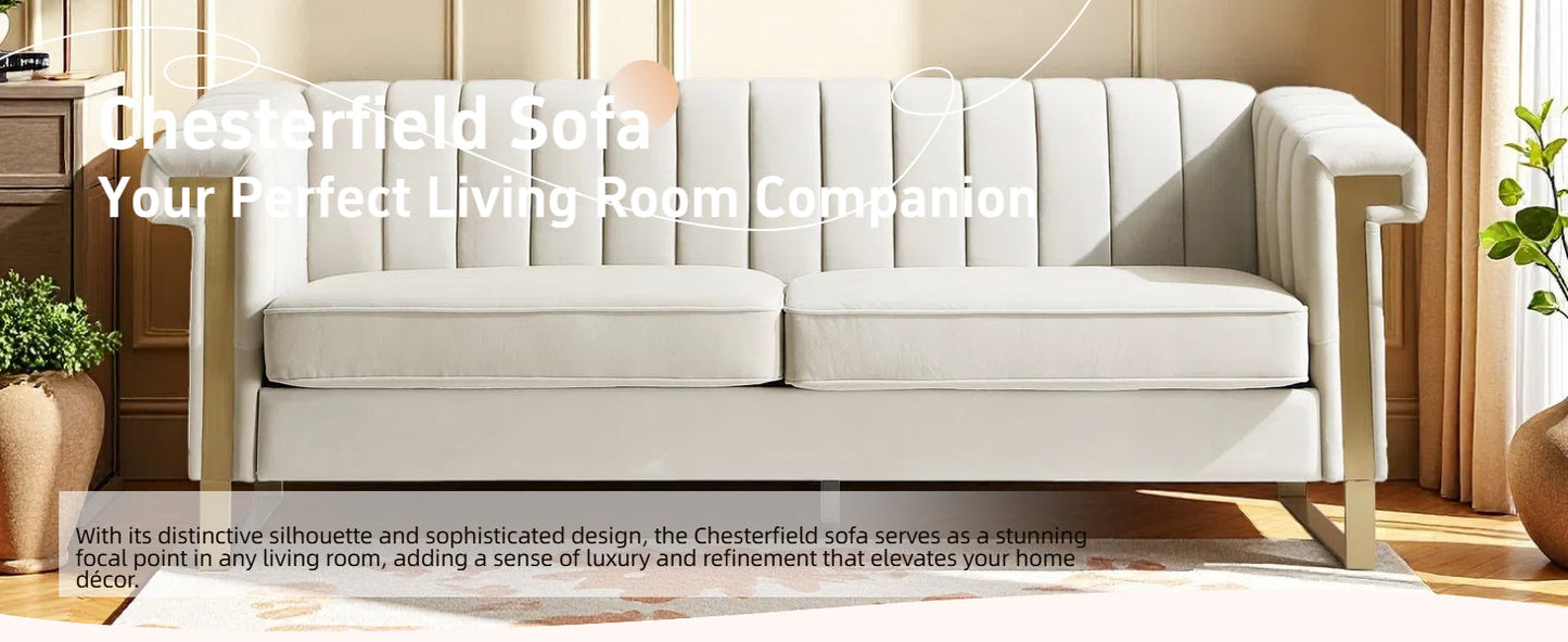 FX-P81-CW2 Modern Velvet Sofa