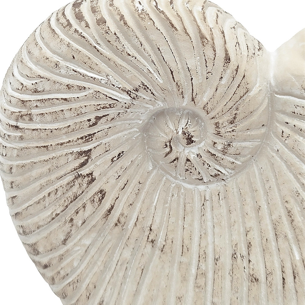 11.5x6.7x7.7" Sand and Cement Nautilus Shell Planter with Textured Beige Finish