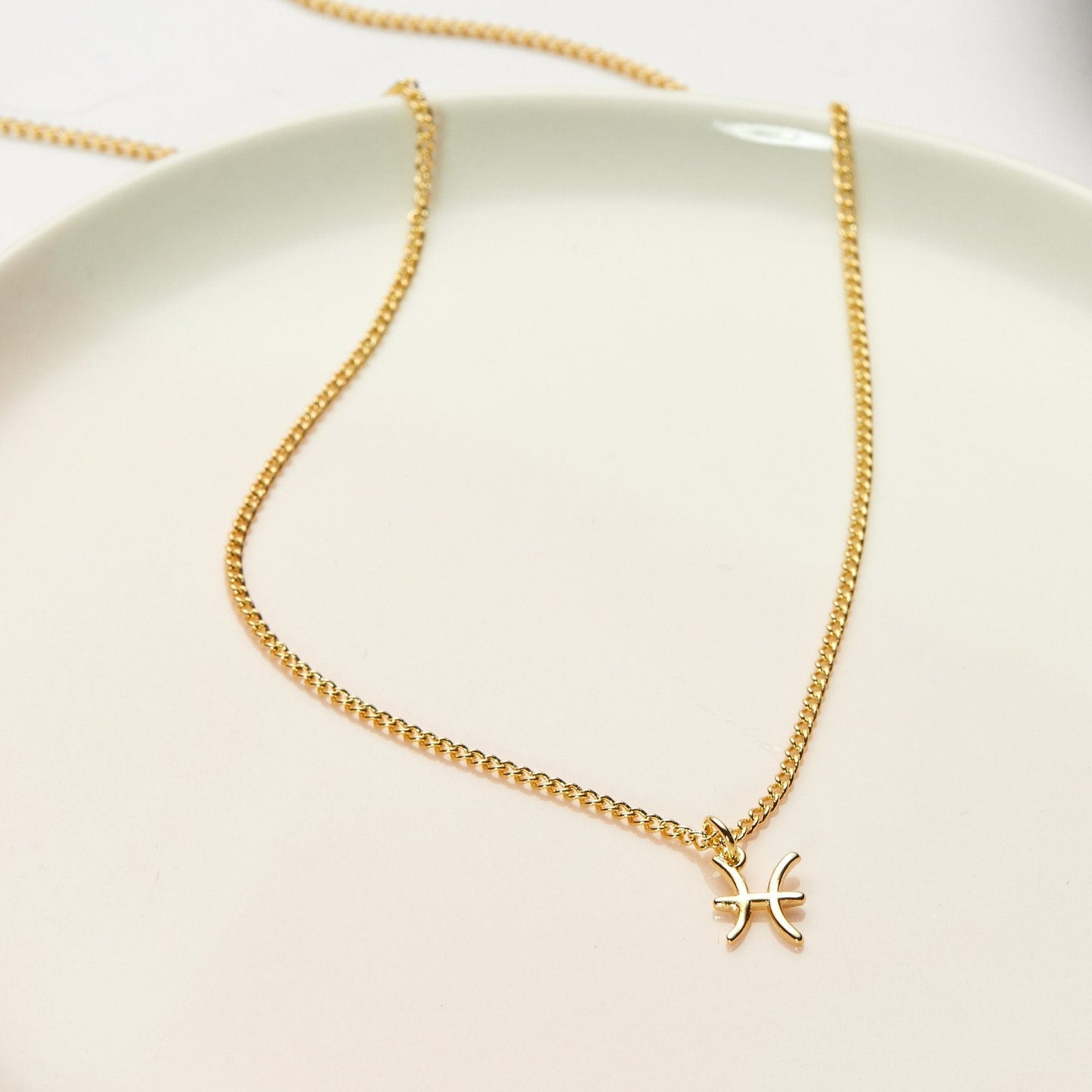 February 20th Pisces Necklace