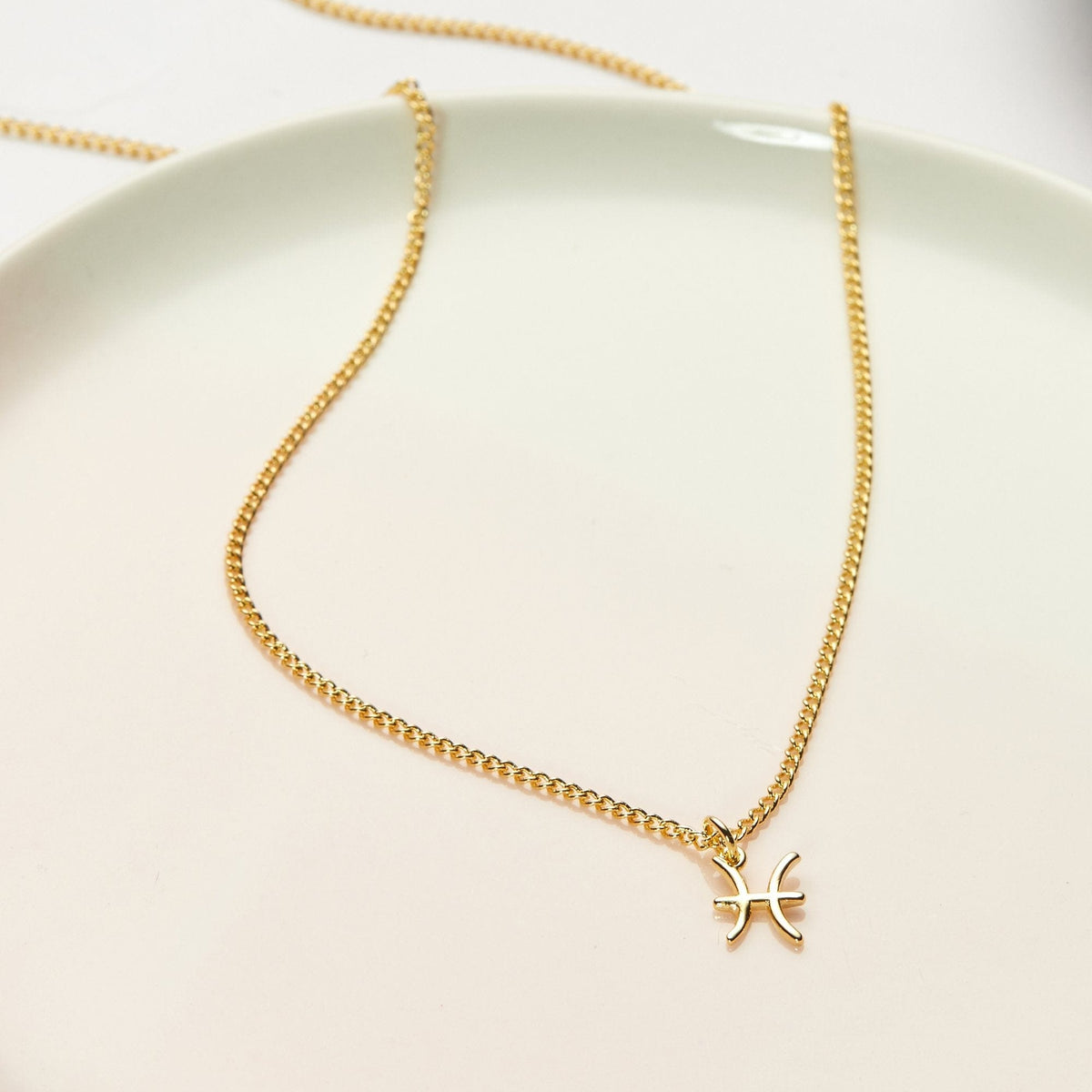 February 25th Pisces Necklace