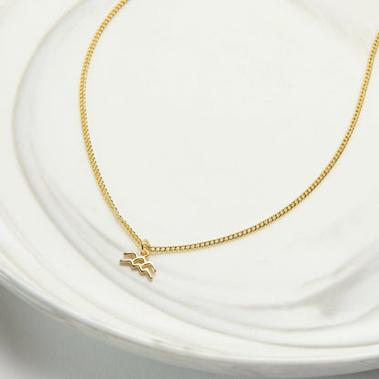 February 3rd Aquarius Necklace