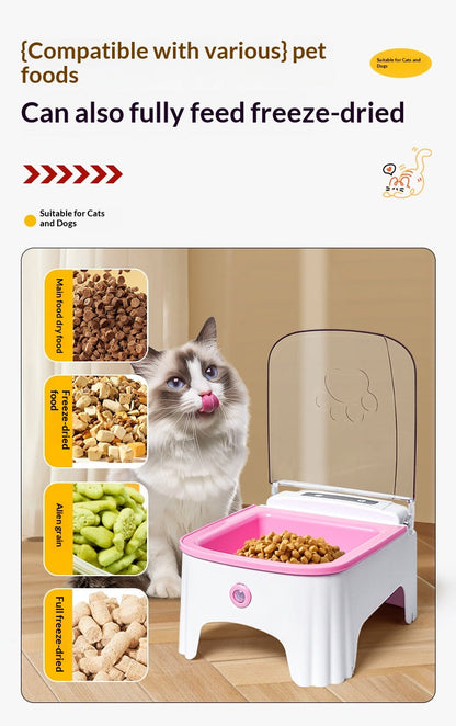 Cat Automatic Feeding Device