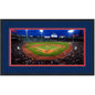 Framed Fenway Park Boston Red Sox MLB 16x24 Baseball Photo Professionally Matted