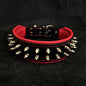 "Frenchie" collar